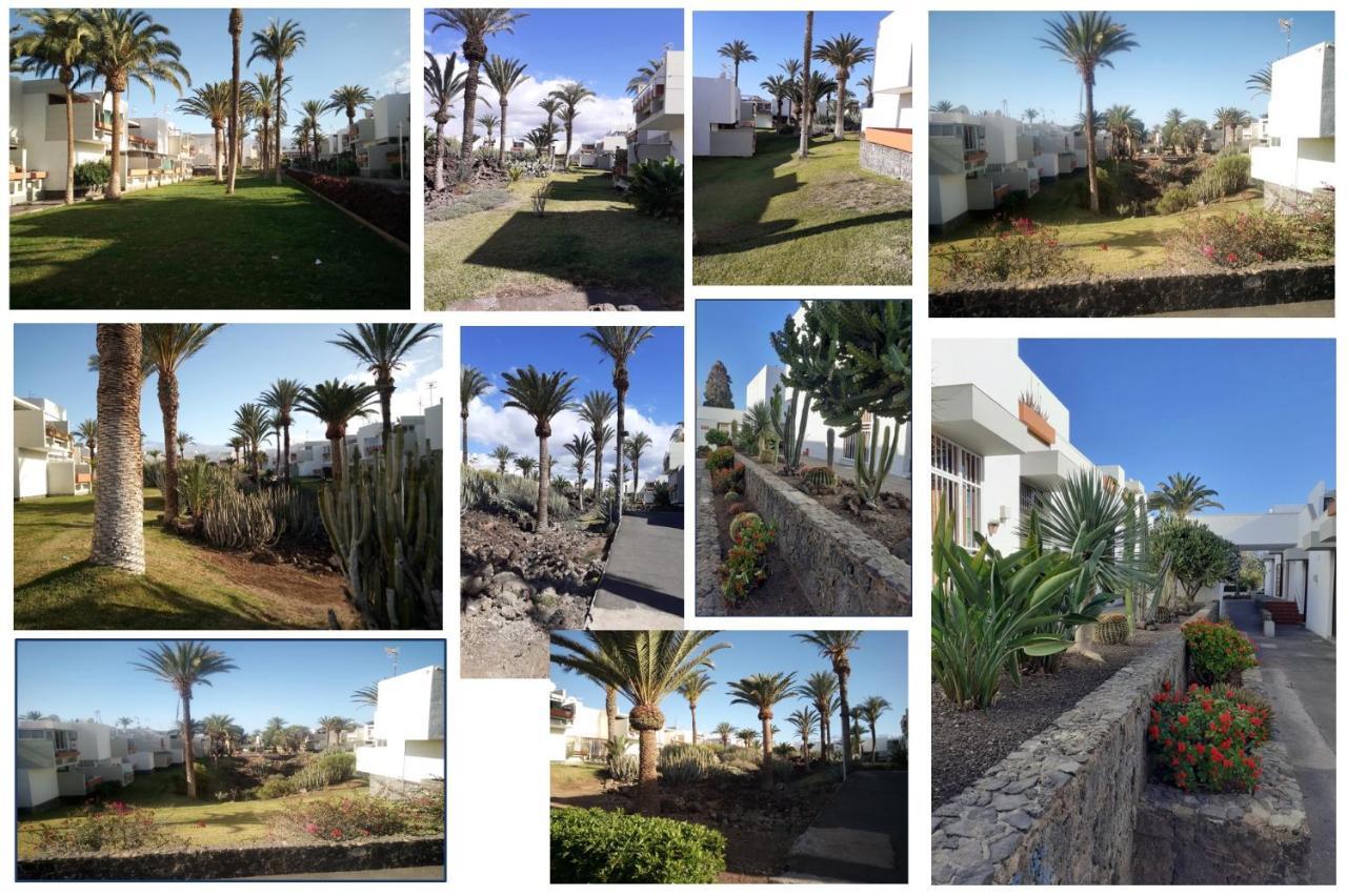 Precioso Apartamento Costa Del Silencio Dış mekan fotoğraf