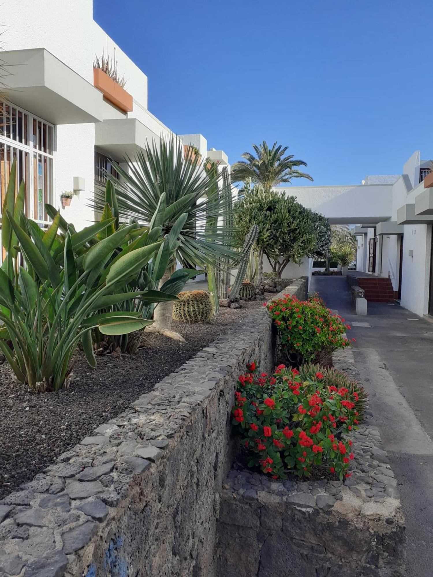 Precioso Apartamento Costa Del Silencio Dış mekan fotoğraf