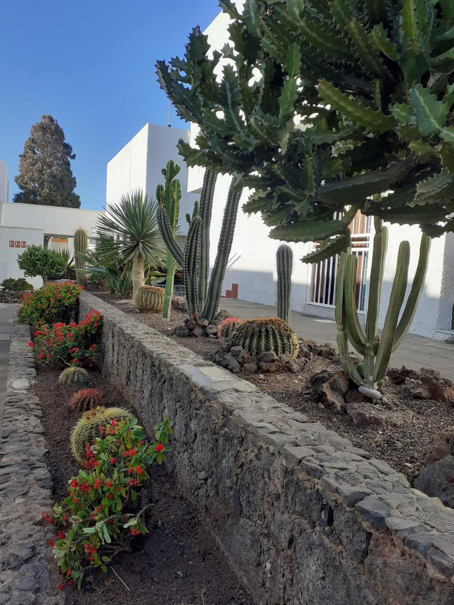 Precioso Apartamento Costa Del Silencio Dış mekan fotoğraf