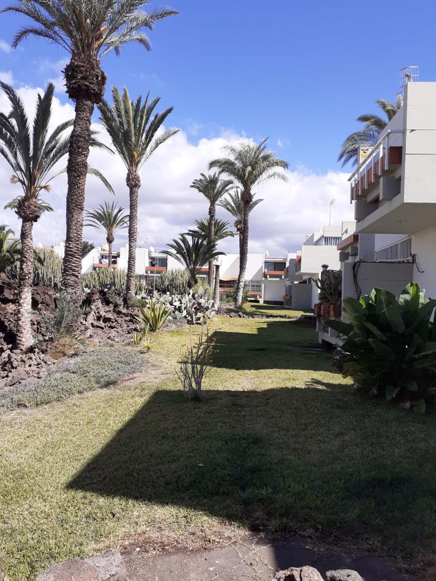 Precioso Apartamento Costa Del Silencio Dış mekan fotoğraf